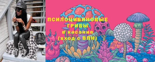 сатива Алексеевка
