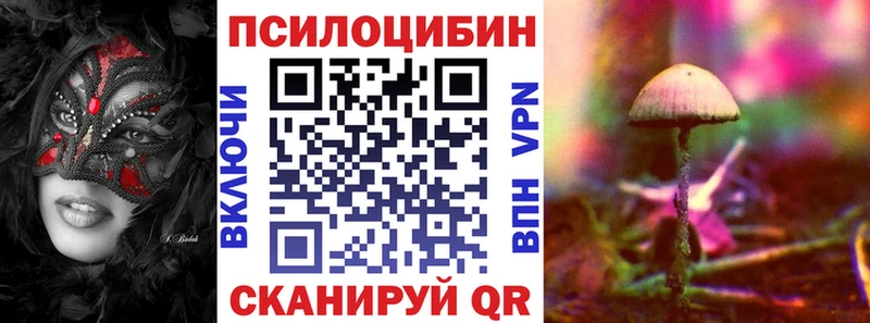 купить   Североуральск  shop телеграм  Псилоцибиновые грибы Cubensis 