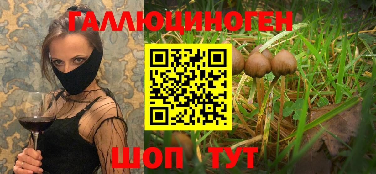 Псилоцибиновые грибы мицелий Североуральск