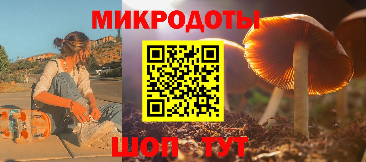 Псилоцибиновые грибы мицелий  купить  сайты  Вход с VPN  Североуральск  Галлюциногенные грибы ЛСД 