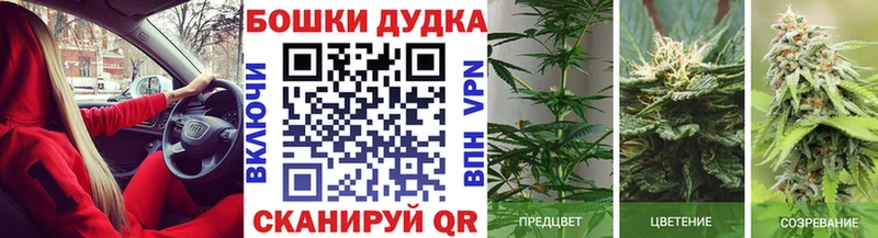 Конопля сатива  Североуральск 